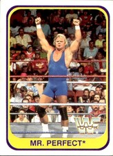 card wwf wrestling merlin 1991