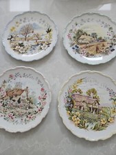 Royal Albert Cottage Garden