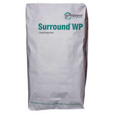 Caolino Surround WP Serbios