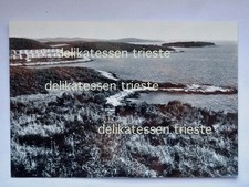 VRSAR Orsera Koversada Anita
