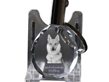 Cane Lupo Cecoslovacco -