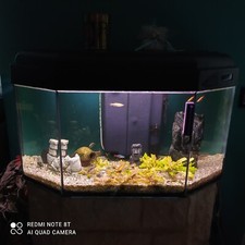 acquario completo usato