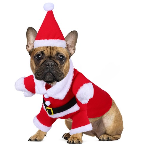 Cappotto per cane vestito - ,