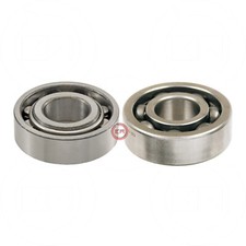 COPPIA CUSCINETTI SKF ALBERO