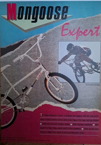 Mongoose expert old skool - mongoose,
