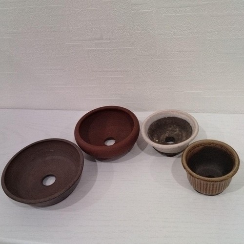 Antico vaso bonsai set quattro