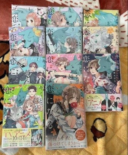 Kimi koete koi - to,