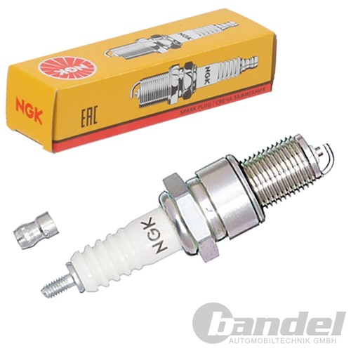 Candela ngk adatta per - ngk,