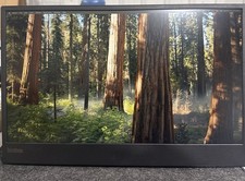 Lenovo M15 ThinkVision Mobile