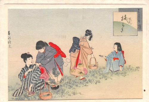 Cartolina giappone japan - cartolina,