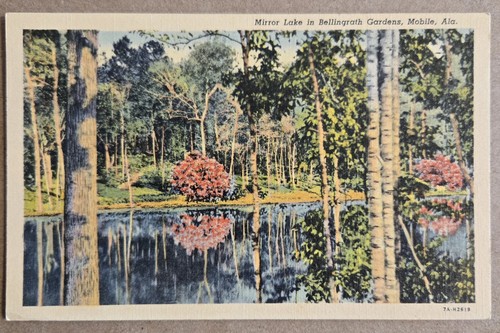 Bellingrath gardens specchio - bellingrath,