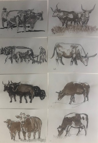 Disegni su carta - , disegni,