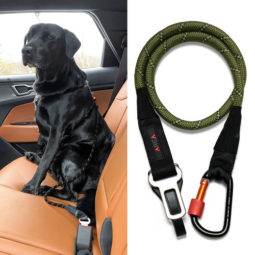Cintura sicurezza per cani - cintura,