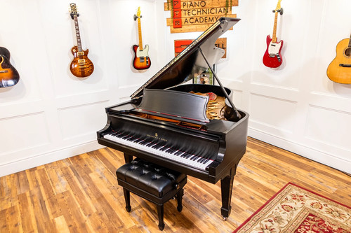 Steinway grand piano - grand,