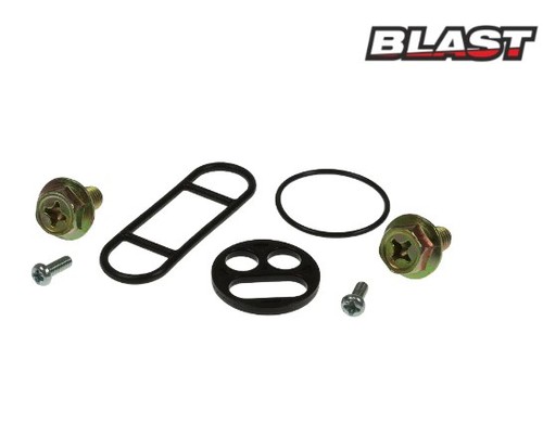 Kawasaki kle 500 - kit, revisione
