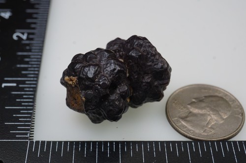 Prophecy stone 28g limonite - prophecy, (limonite