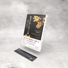 Bridge On The Shikishima Way