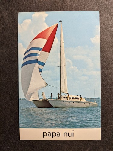 Catamarano papa nui copertina - papa,