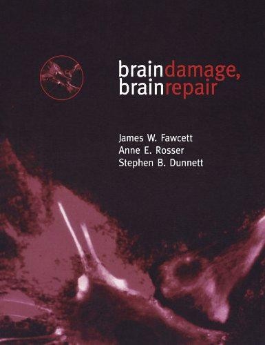 Brain damage repair - damage,,