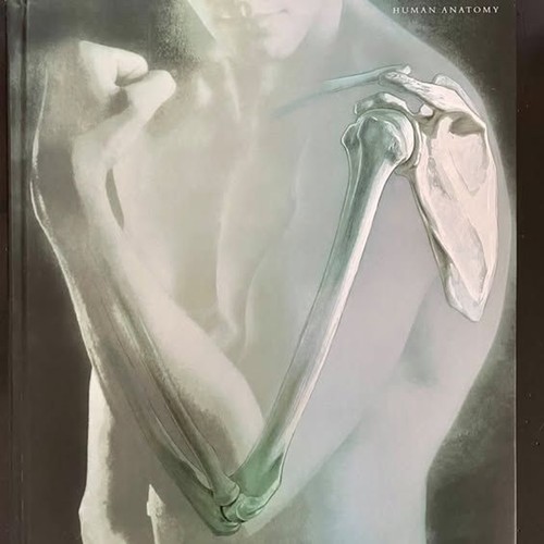 Human anatomy by - (4th, edition)