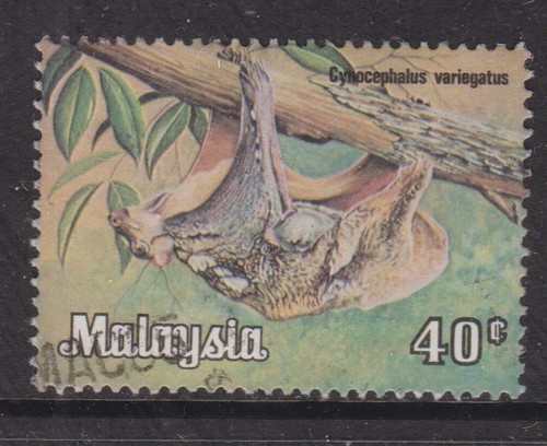 Malesia 1983 flying - lemur, 40c