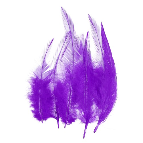 Plumas gallo silla - plumas,