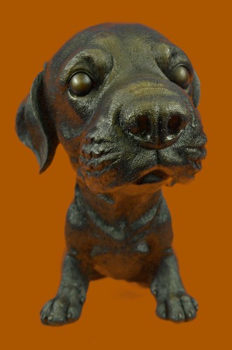Labrador adorabile cucciolo - labrador,
