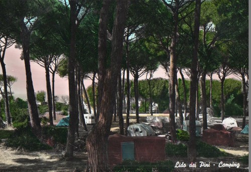 Lido dei pini camping - dei,