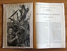 Enciclopedia Agraria - Bassi, Bresaola LE COLTIVAZIONI DA FORAGGIO - UTET, 1928*