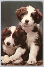 Modern Colour Postcard Two