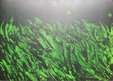 MATTIA MORENI: Rara Litografia  cm. 71x51, Firmata, Numerata; Perfetta. STUPENDA