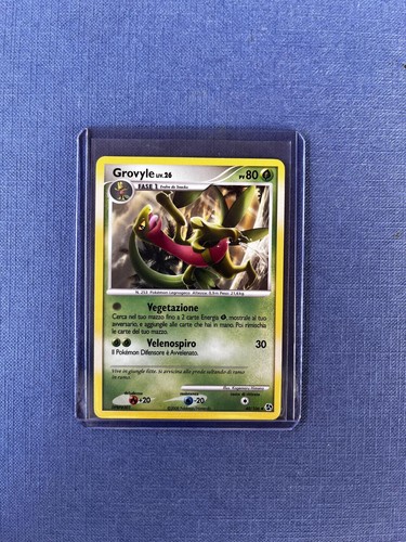 Grovyle 106 incontri - grovyle, 40/106
