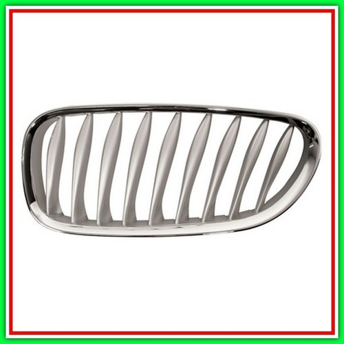 Griglia radiatore sinistra - griglia,