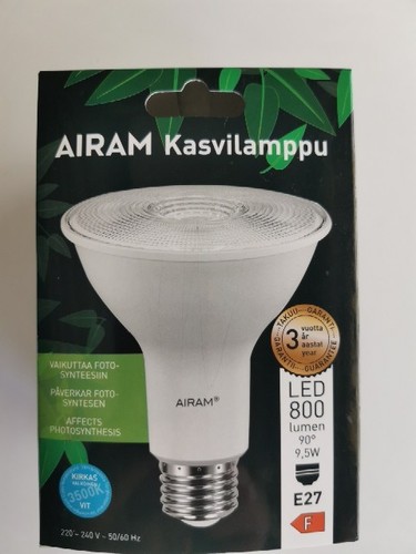 Lampadina lampada crescita - lampadina,
