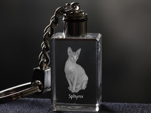 Gatto sphynx portachiavi - gatto,