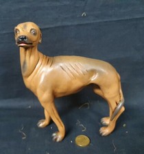 Levriero Animale cane Da