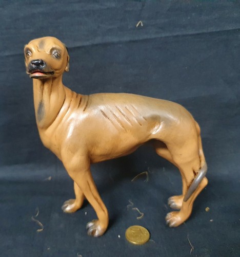 Levriero animale cane - levriero,
