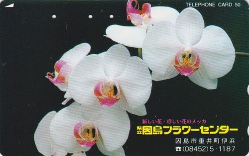 Rare télécarte japon - japon, fleur