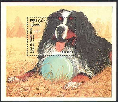 Cambogia 1990 bernese cani - 1990, da
