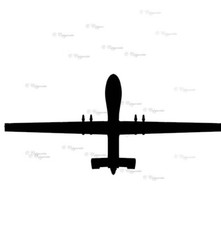 MQ-1C Grigio Aquila Militare -