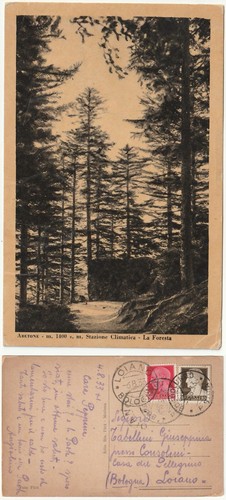 Abetone pistoia la foresta - -,