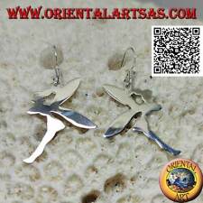  Orecchini in argento 925‰