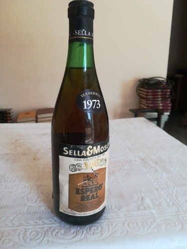 Vino sella mosca 1973 - vino, e