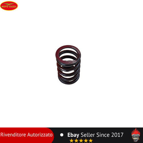 Molla frizione moto - moto, 850