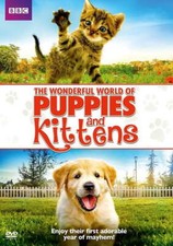 Wonderful world puppies and - wonderful,