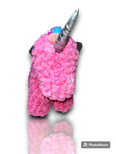 Rosa Unicorno Fiore Pony San