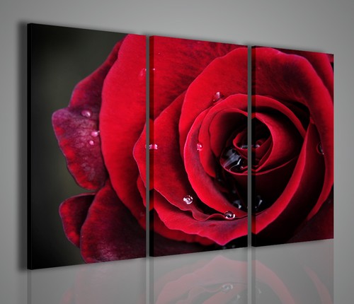 Quadri moderni red - quadri,