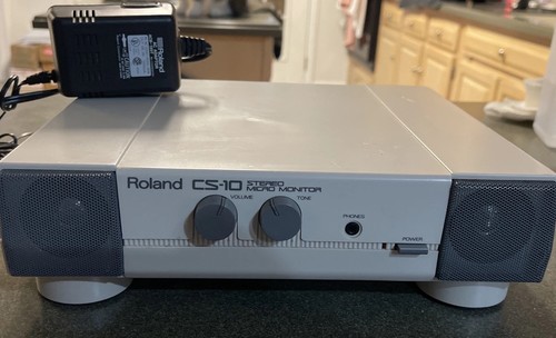 Roland stereo micro - cs-10,