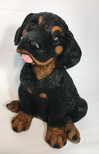 Castagna Linea Infrangibile Rottweiler Rotty Cucciolo Cane Made in Italy 