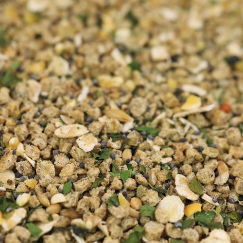 Chickengold pollo nano - chickengold®,